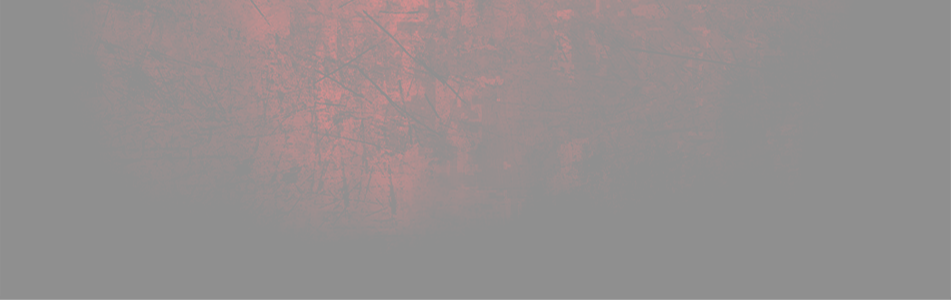 Fondo03