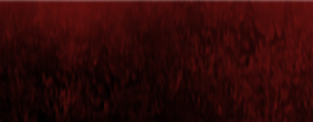 Banner Footer 1